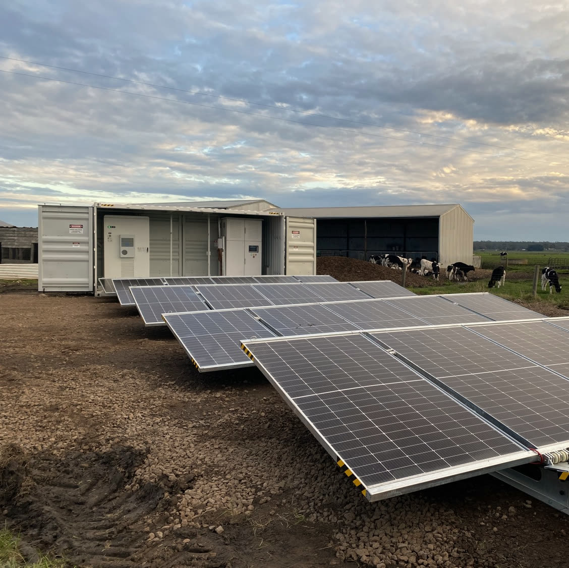 Mulheron Dairy pilot site — container, solar panels, and dairy herd